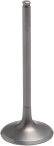 Tensilite® Engine Valve