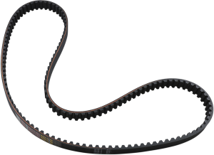 Rear Drive Belt