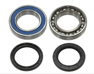 Sno-X Chain case bearing kit