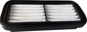 Indian Oem Replacement Air Filter Element Black, White