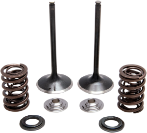 Stainless Steel Conversion Valve And Spring Kit
