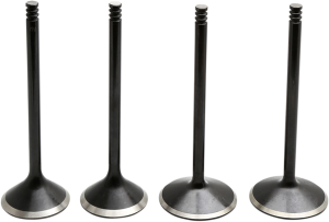 Engine Valve Kit