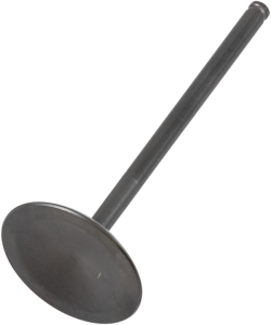 Black Diamond Engine Valve