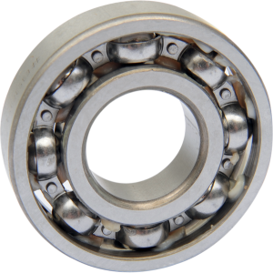 Counterbalance Shaft Bearing