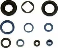 Engine Oil Seal 