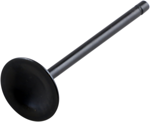 Black Diamond Engine Valve