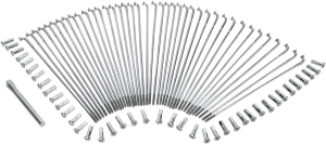 Chrome And Stainless Steel Spoke Set Polished, Silver