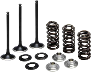 Stainless Steel Conversion Valve And Spring Kit