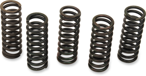 Clutch Spring Kit Black, 1, nordicamoto.ro