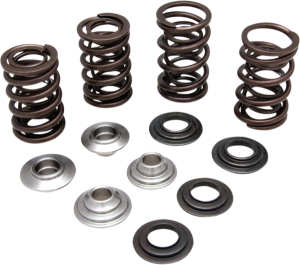Valve Spring Kit, 1, nordicamoto.ro