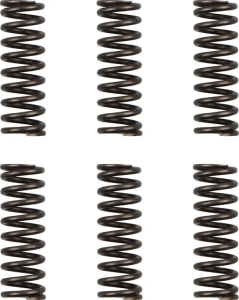 Set de arcuri pentru ambreiaj MOOSE RACING 