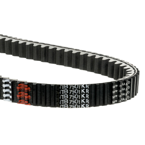 Max Kvr Cvt Belt