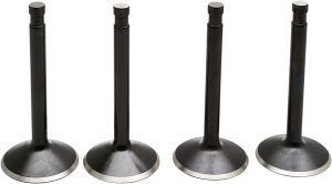 Engine Valve Kit, 1, nordicamoto.ro