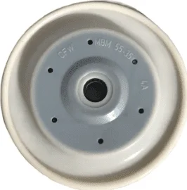 MEMBRANE