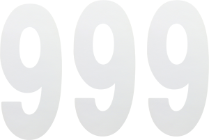 Standard Numbers White, 1, nordicamoto.ro