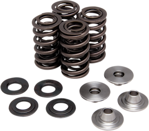 Valve Spring Kit