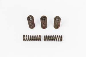 Clutch Spring Set Bronze