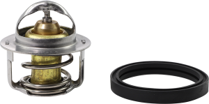 Thermostat Silver