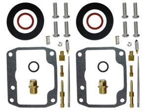 Set de reparații pentru carburatorul Sno-X Ski-Doo