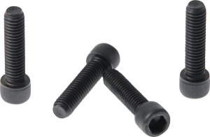 Fork Triple Clamp Screws Black